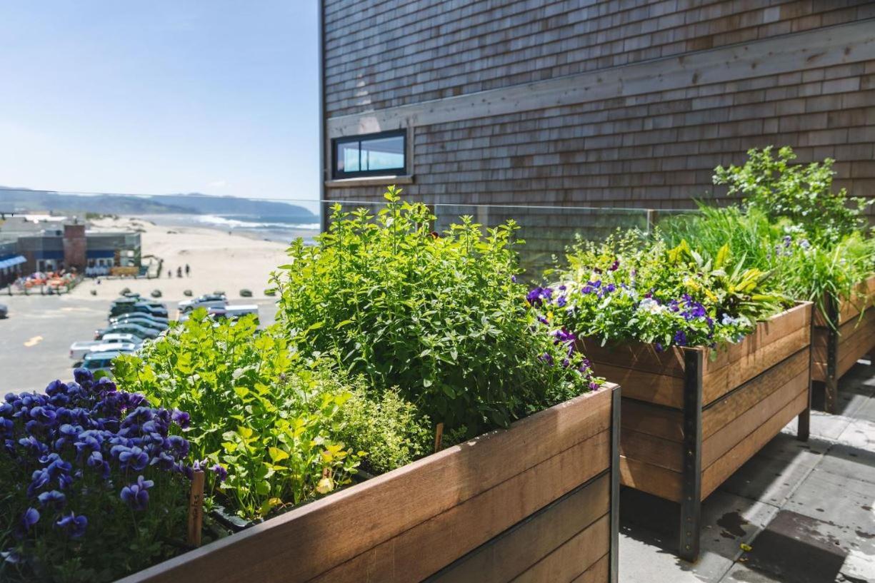 Headlands Coastal Lodge & Spa Pacific City Eksteriør bilde